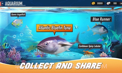 钓鱼GOGO截图4 钓鱼GOGO截图4