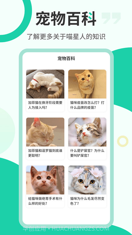 猫叫翻译机截图2