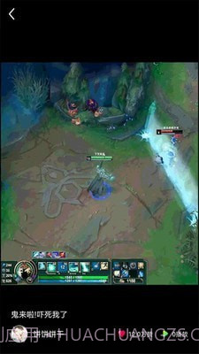 猫咪小视频截图2 猫咪小视频截图2