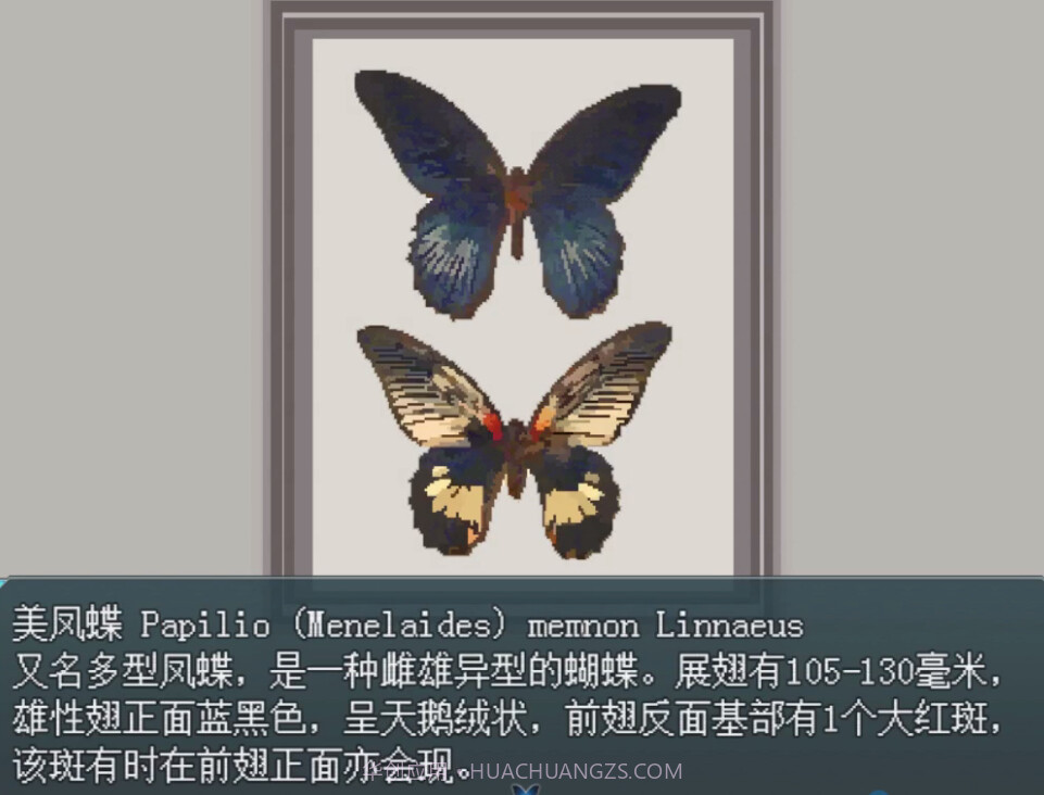 白夜博物馆免广告版截图5