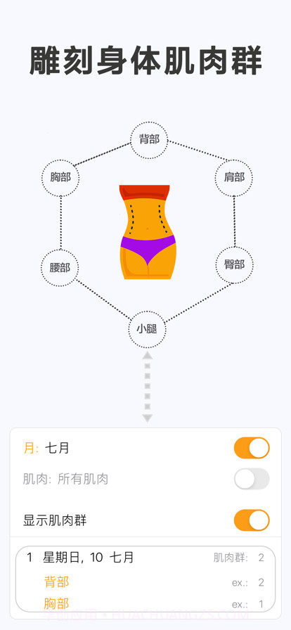 瘦身计划局截图1