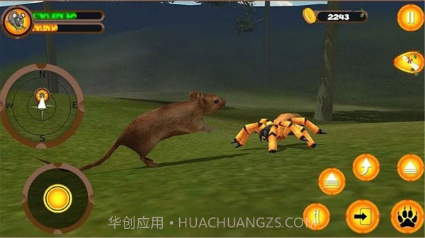 疯狂老鼠王截图4 疯狂老鼠王截图4