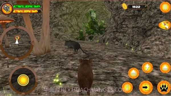 疯狂老鼠王截图2 疯狂老鼠王截图2