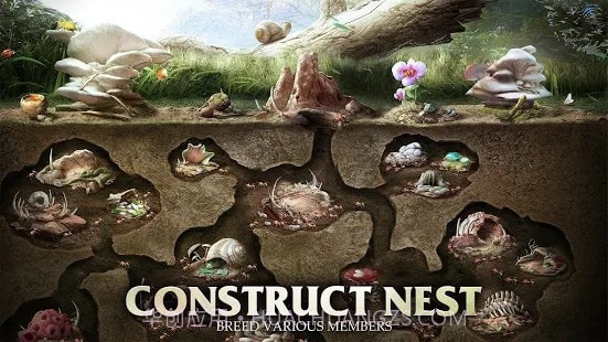 蚂蚁军团为了虫群截图3