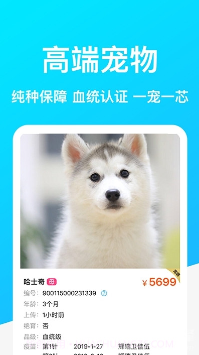 Dog Breeds狗品种(拍照辨识狗狗品种工具)V1.1 安卓手机版截图2 Dog Breeds狗品种(拍照辨识狗狗品种工具)V1.1 安卓手机版截图2