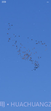 Flocc截图2 Flocc截图2