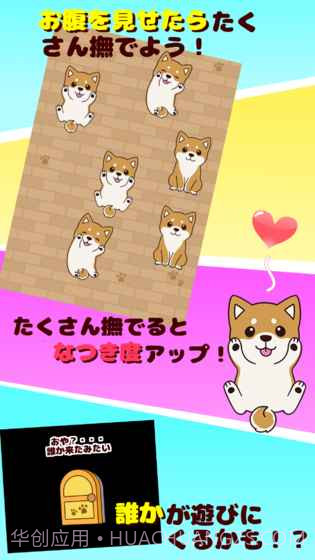 抚摸小狗免费版截图2 抚摸小狗免费版截图2