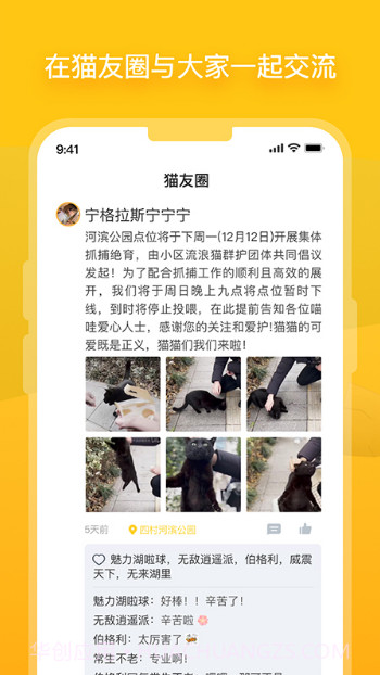 哈啰街猫最新版v1.0.1截图2