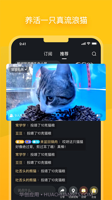 哈啰街猫最新版v1.0.1截图3