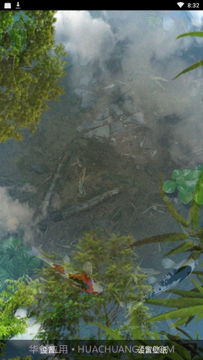 锦鲤鱼池3D动态壁纸（鱼池）截图3