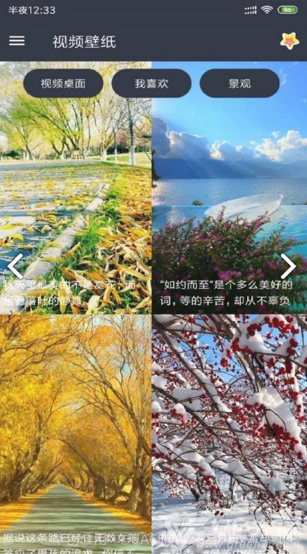 VideoWallpaper(videowallpaper小米)V3.2.3 安卓中文版截图3