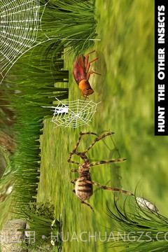 终极蜘蛛模拟器最新版截图1