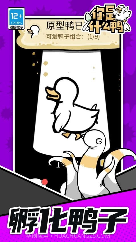 你是什么鸭最新版截图3