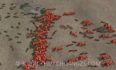 模拟地下蚁国截图1