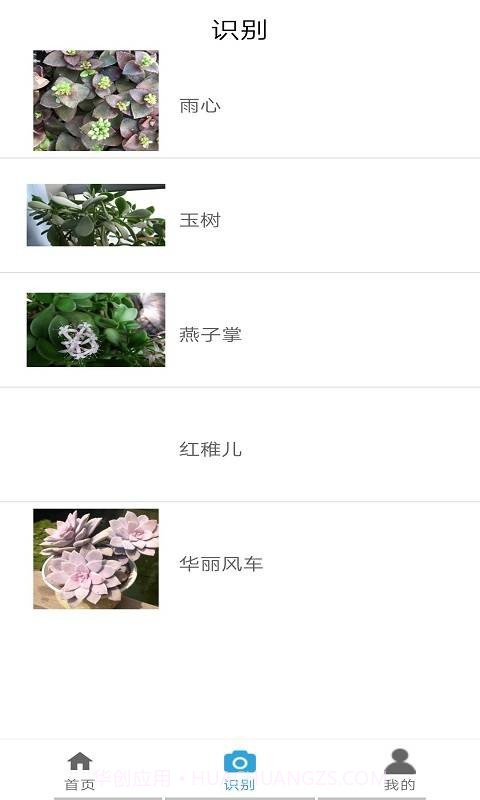 品植截图4