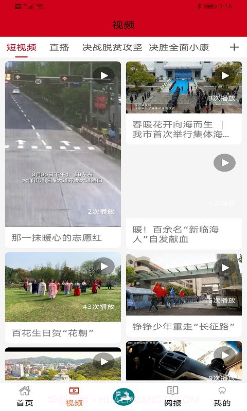 掌心临海定制版截图2