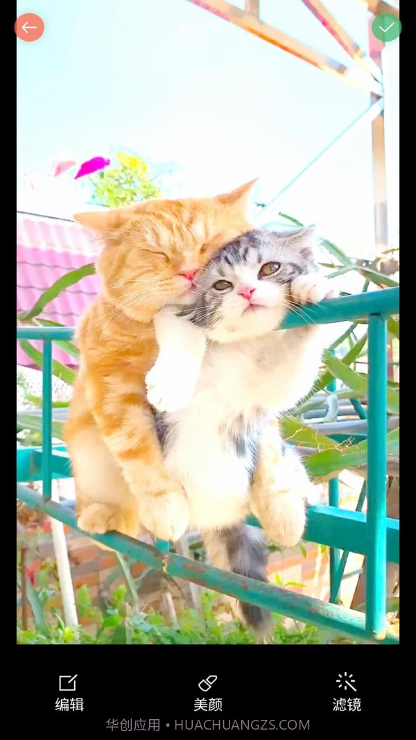 安果美颜相机截图3