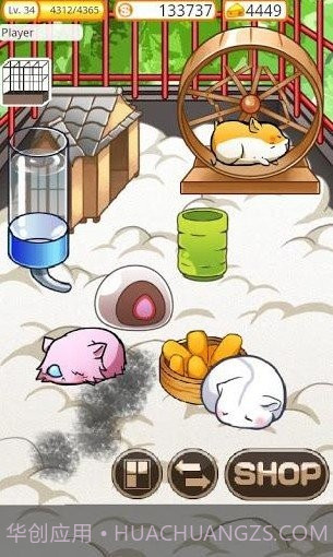 模拟宠物仓鼠的生活截图1