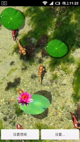 3D养金鱼动态壁纸截图3 3D养金鱼动态壁纸截图3