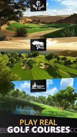 终极高尔夫截图1