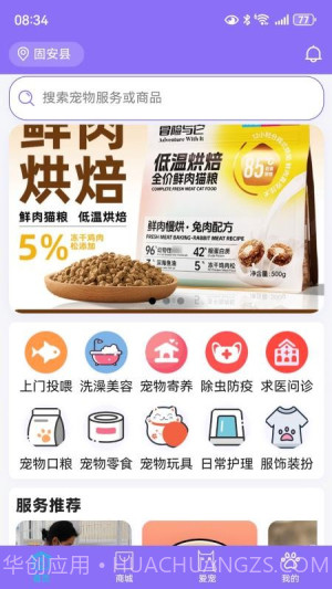 宠星正式版截图2 宠星正式版截图2