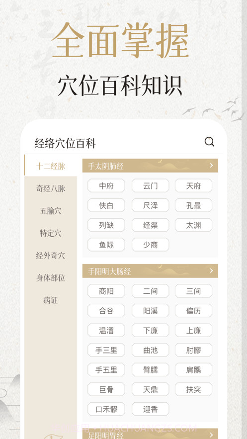 中济经络穴位截图1