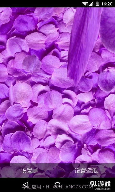 3D落花海：梦象动态壁纸截图2