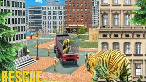 虚拟老虎家庭模拟器截图3