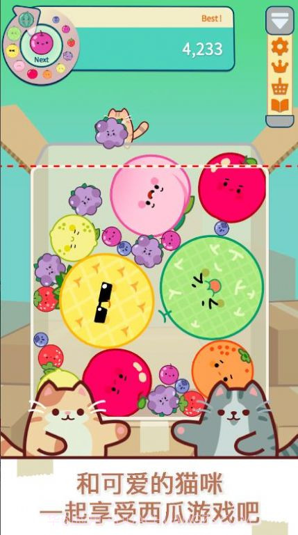 猫和西瓜截图4 猫和西瓜截图4
