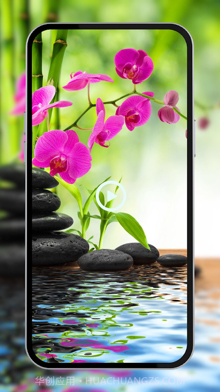 现场鲜花壁纸截图2