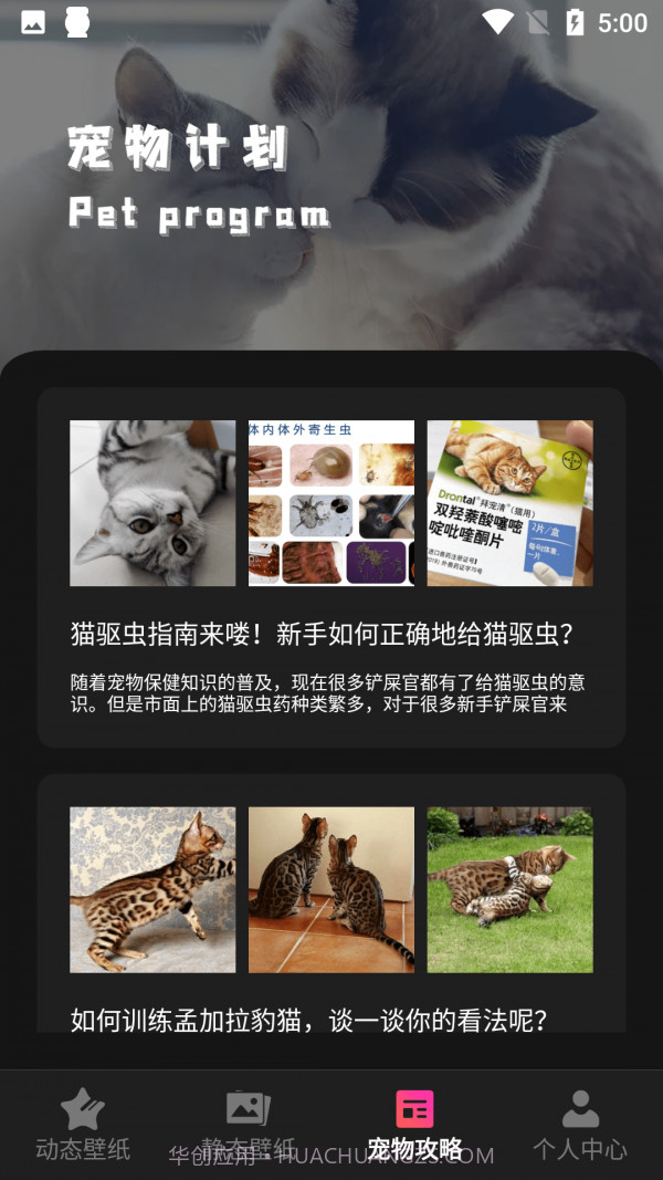 猫咪壁纸截图3 猫咪壁纸截图3