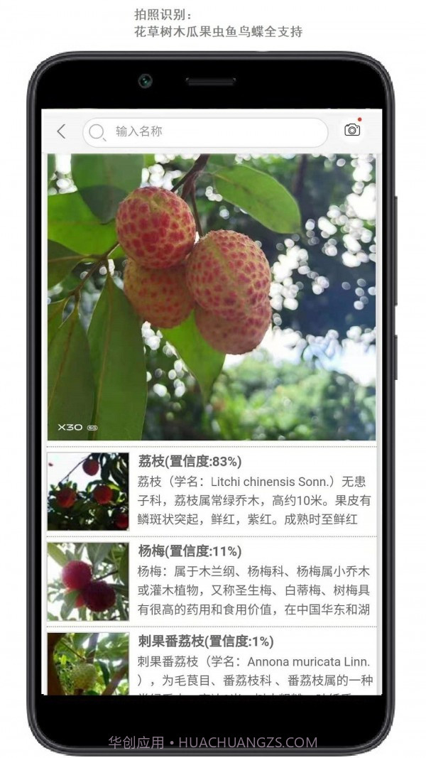 行色识花截图3 行色识花截图3