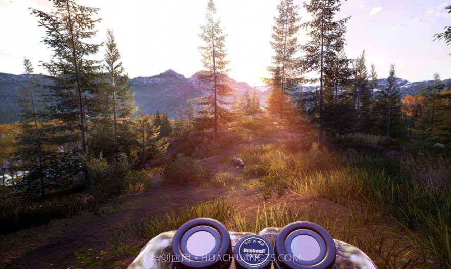 模拟猎人战场截图3