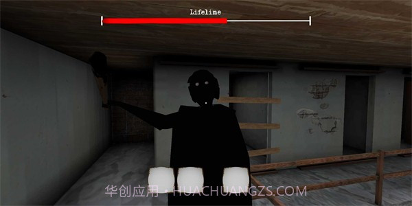 恐怖双胞胎黑影模组截图1