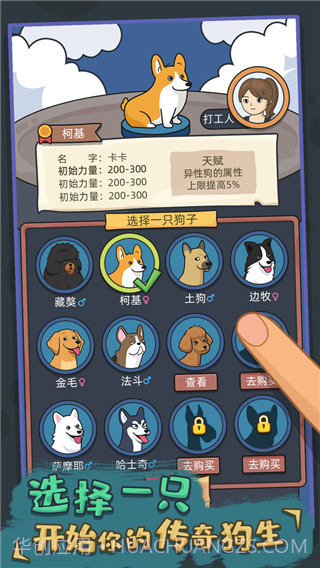 狗生模拟器正版截图2