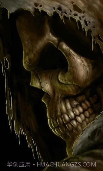 头骨动态壁纸截图2 头骨动态壁纸截图2