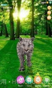 会说话的猎豹截图2 会说话的猎豹截图2