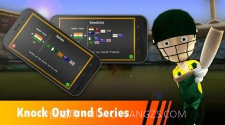 冠军板球截图2 冠军板球截图2