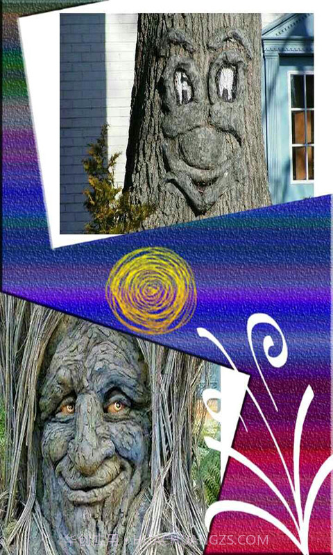 美美相框照相机截图3 美美相框照相机截图3