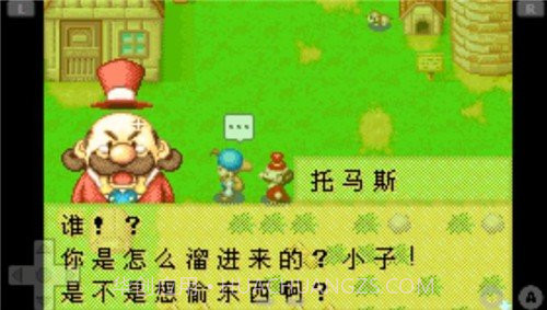 牧场物语矿石镇的伙伴们中文版截图1 牧场物语矿石镇的伙伴们中文版截图1