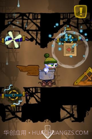 神奇小猫 Randall Schleufer截图2