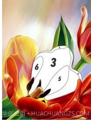 按编号花色截图2 按编号花色截图2