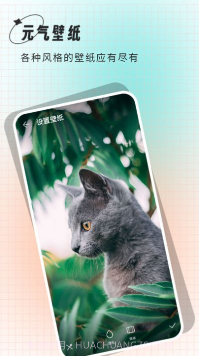 小鲸鱼壁纸截图3 小鲸鱼壁纸截图3