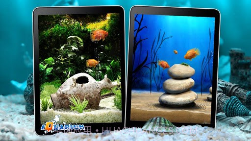 口袋水族馆截图3 口袋水族馆截图3