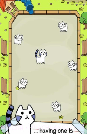 会进化的猫截图3