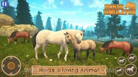 骑马世界模拟器截图3