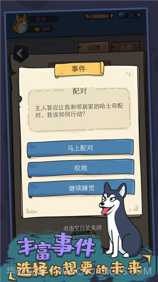 狗生模拟器中文版截图5