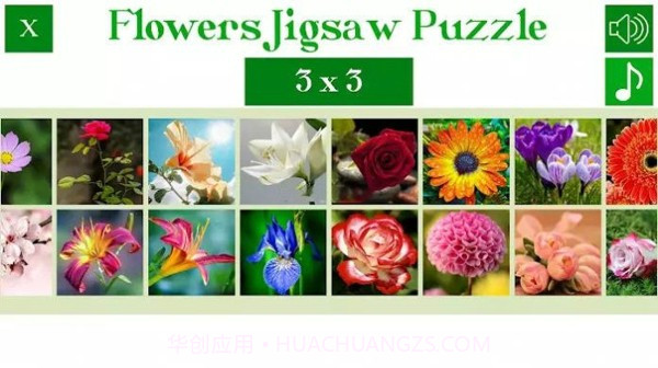 花卉拼图谜题截图2
