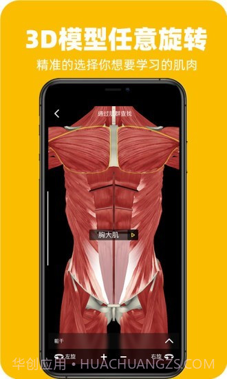 3Dfit(健身运动)截图4