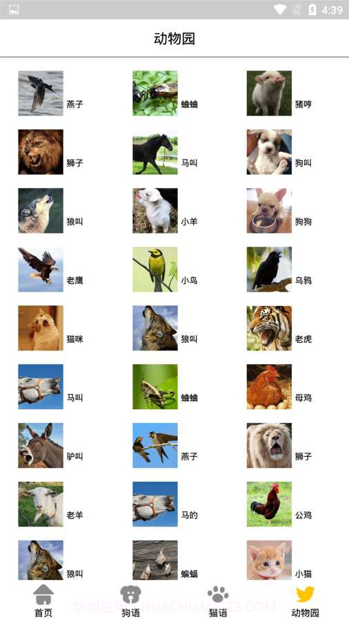 宠物翻译机截图3 宠物翻译机截图3